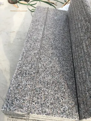 Building Material 600*600mm and 300*600mm Stairs Natural Stone Polished G361 Wulian Flower Granite Tile